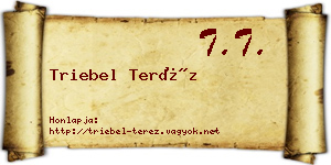 Triebel Teréz névjegykártya